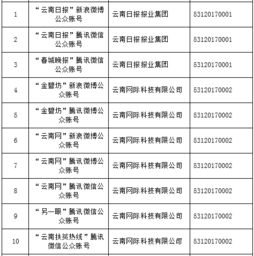 云南信息报旗下六产品获首批互联网新闻信息服务许可，赋能区域信息服务新格局